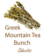 greek mountain tea gojnik sideritis olympus life herbs and herbal teas ziola herbaty ziolowe