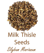 milk thisle seeds olympus life herbs and herbal teas ziola herbaty ziolowe